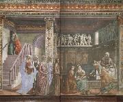 Domenicho Ghirlandaio Geburt Marias oil painting